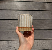 Fluted Cup 6oz